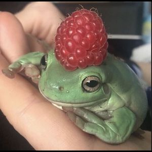 Meet your Posher, Emma